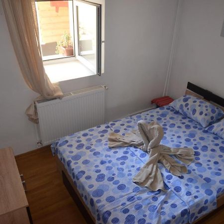 Apartament Casa Cu Fluturi Konstanca Zewnętrze zdjęcie