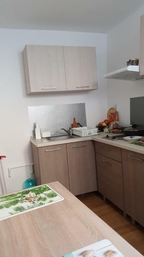 Apartament Casa Cu Fluturi Konstanca Zewnętrze zdjęcie