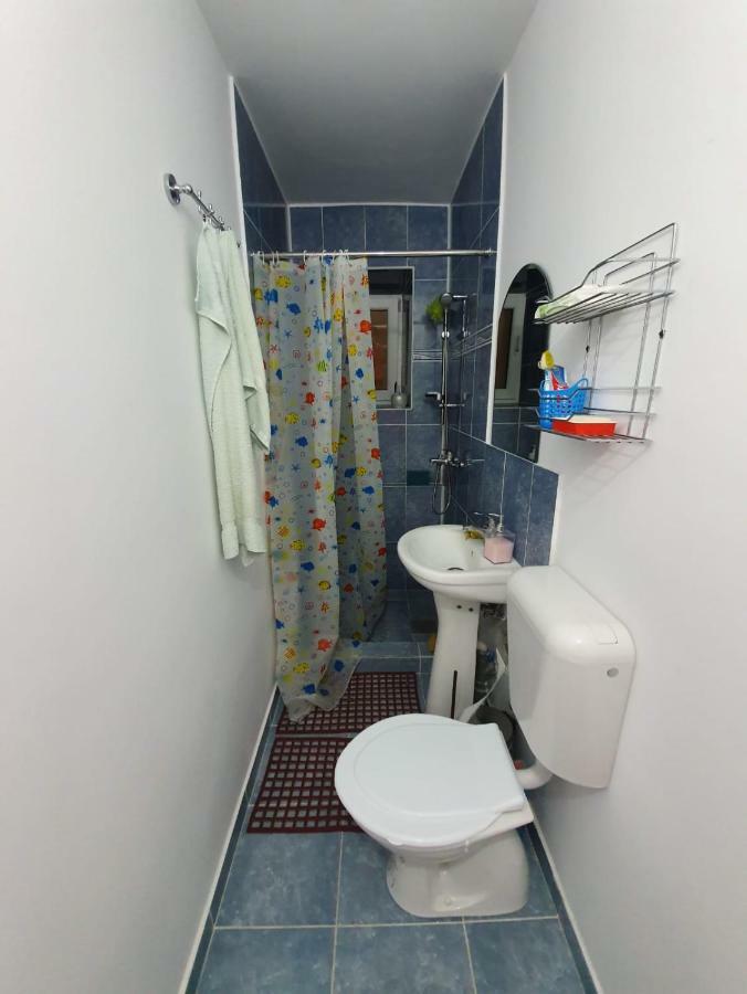 Apartament Casa Cu Fluturi Konstanca Zewnętrze zdjęcie