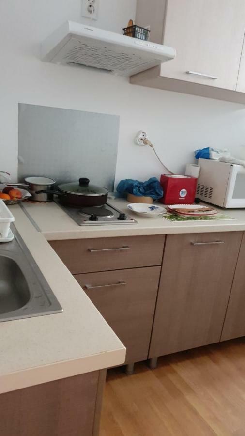 Apartament Casa Cu Fluturi Konstanca Zewnętrze zdjęcie