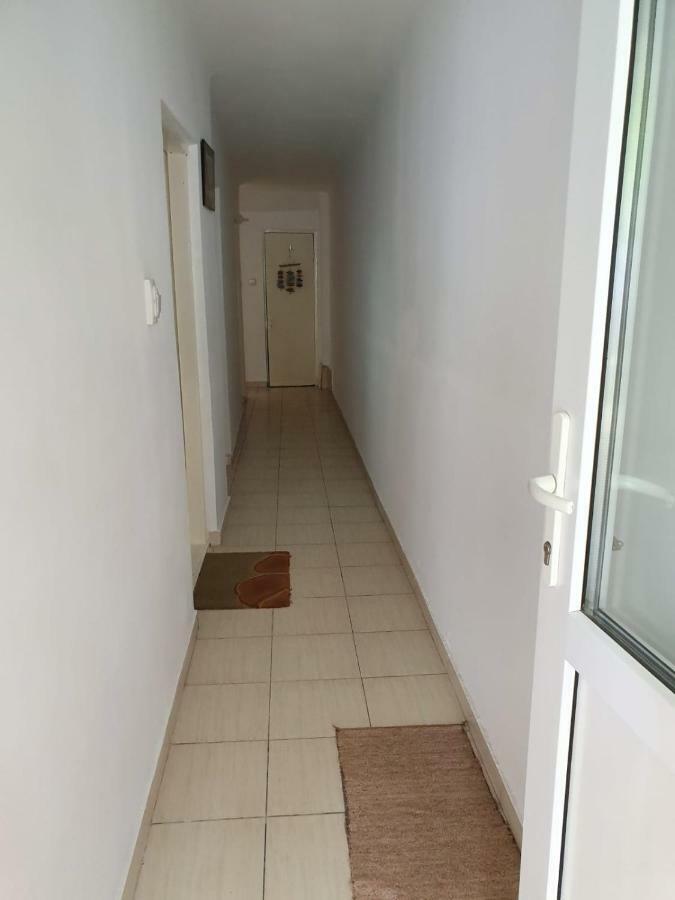 Apartament Casa Cu Fluturi Konstanca Zewnętrze zdjęcie