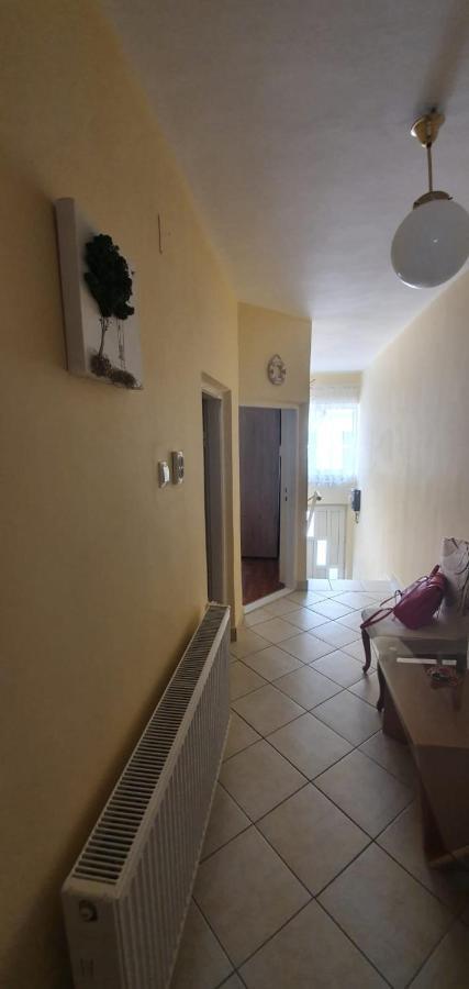 Apartament Casa Cu Fluturi Konstanca Zewnętrze zdjęcie